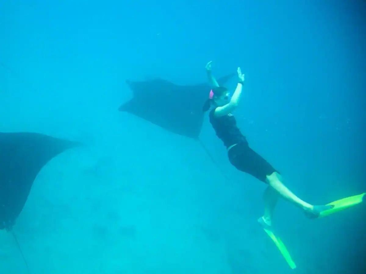 White Sandy Beach-Best Manta Snorkeling Tethi 外观 照片
