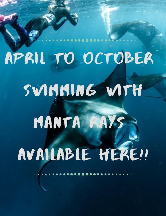 White Sandy Beach-Best Manta Snorkeling Tethi 外观 照片