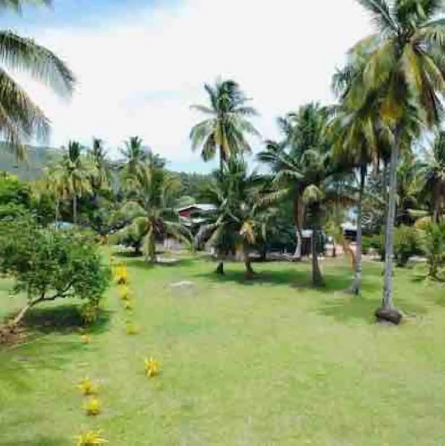 White Sandy Beach-Best Manta Snorkeling Tethi 外观 照片